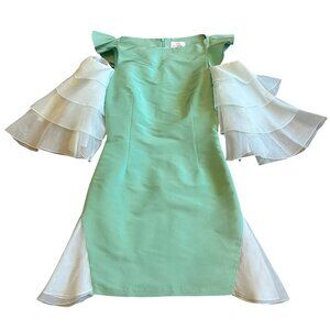 Neubyrne Seafoam Green Fitted Sheath Dress Mini Flowy Silk Sleeves Size Small
